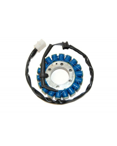 Stator Moto ELECTROSPORT Stator ELECTROSPORT Kawasaki ZX6R/RR