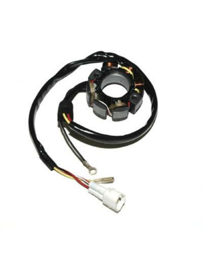 Stator Moto ELECTROSPORT Stator ELECTROSPORT KTM