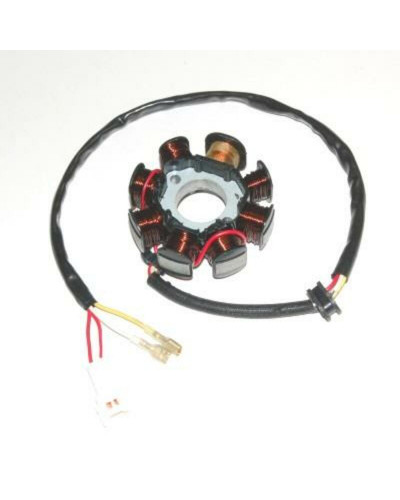 Stator Moto ELECTROSPORT Stator ELECTROSPORT KTM