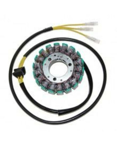 Stator Moto ELECTROSPORT Stator ELECTROSPORT Suzuki GS650