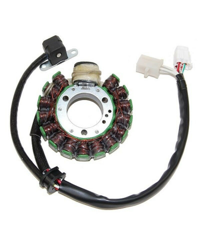 Stator Moto ELECTROSPORT Stator ELECTROSPORT Yamaha YFB250/YFM250