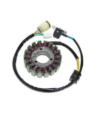 Stator Moto ELECTROSPORT Stator ELECTROSPORT Yamaha YFM 660R Raptor