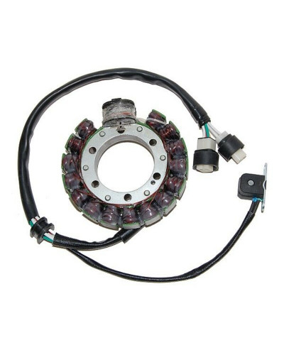 Stator Moto ELECTROSPORT Stator ELECTROSPORT Yamaha YFM350 Big Bear/YFM350X Warrior