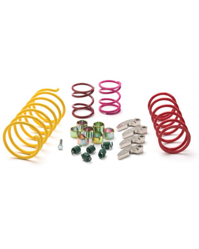 Variateur Complet Moto EPI Kit amélioration embrayage EPI Sport Utility Polaris Scrambler 1000 4x4