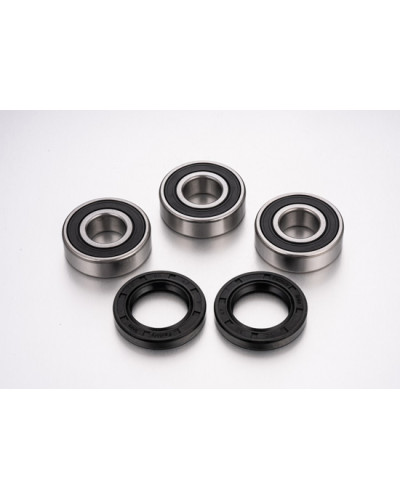 Roulement Roue Moto FACTORY LINKS Kit de roulement de roue arrière Roulement Roue Moto FACTORY LINKS Kit de roulement de roue arrière