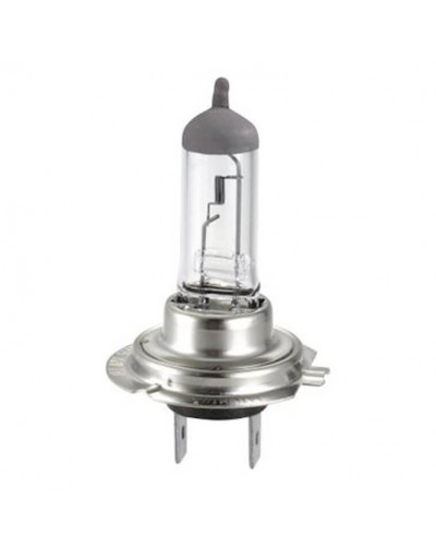 Ampoules Moto HERT LAMPS Lampe Hert - H7 Ampoules Moto HERT LAMPS Lampe Hert - H7