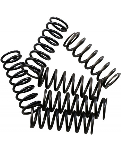 Ressort Embrayage Moto HINSON RACING SPRING KIT CLUTCH CRF450R Ressort Embrayage Moto HINSON RACING SPRING KIT CLUTCH CRF450R