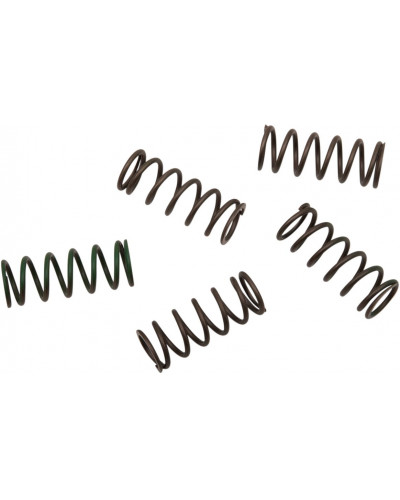 Ressort Embrayage Moto HINSON RACING SPRING KIT CLUTCH HON/KTM Ressort Embrayage Moto HINSON RACING SPRING KIT CLUTCH HON/KTM