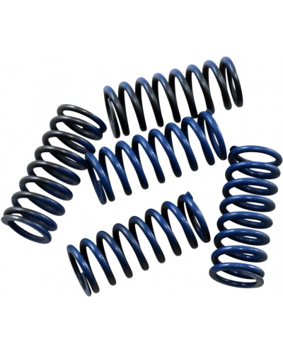 Ressort Embrayage Moto HINSON RACING SPRING KIT CLUTCH HONDA Ressort Embrayage Moto HINSON RACING SPRING KIT CLUTCH HONDA