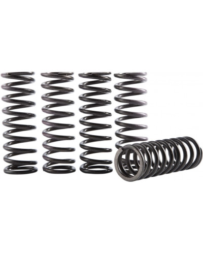 Ressort Embrayage Moto HINSON RACING SPRING KIT CLUTCH HONDA