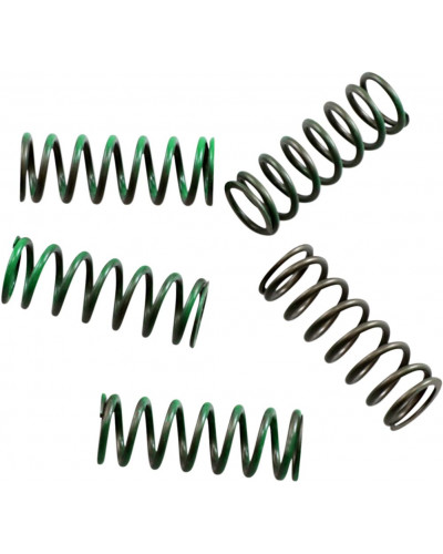 Ressort Embrayage Moto HINSON RACING SPRING KIT CLUTCH KXF/RMZ Ressort Embrayage Moto HINSON RACING SPRING KIT CLUTCH KXF/RMZ