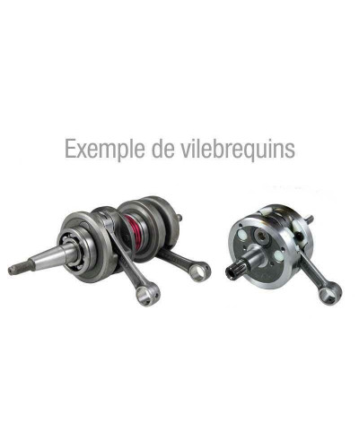 Kit Villebrequin Moto HOT RODS VILEBREQUIN COMPLET POUR KAWASAKI