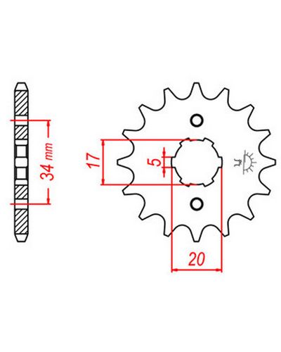 Pignon Moto JT Pignon JTF1324.11