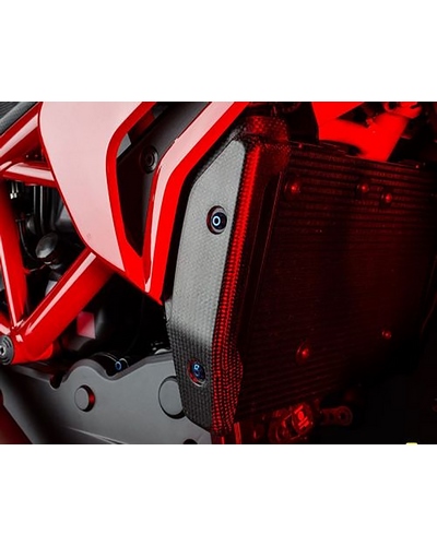 Protection Radiateur Moto LIGHTECH Protection de radiateur LIGHTECH carbone