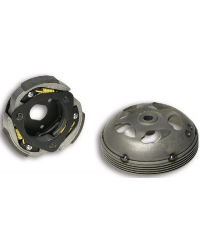 Variateur Complet Moto MALOSSI MAXI DELTA CLUTCH FULL SYSTEM Ø135