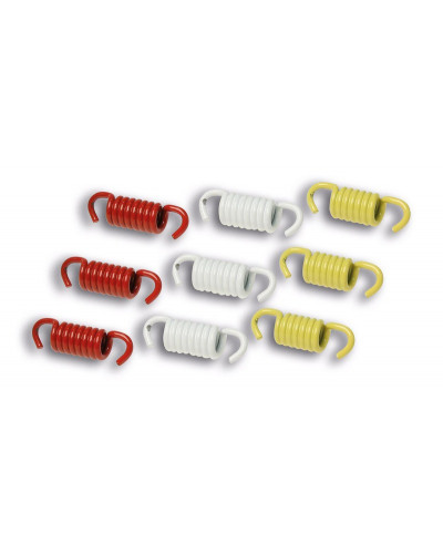 Ressort Embrayage Moto MALOSSI RACING CLUTCH SPRING SET MAXI SCOOTER