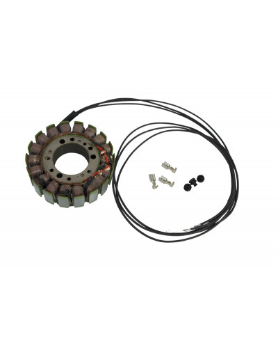 Stator Moto MOOSE OFFROAD FOUR WHEEL STATOR MUD TGB 325
