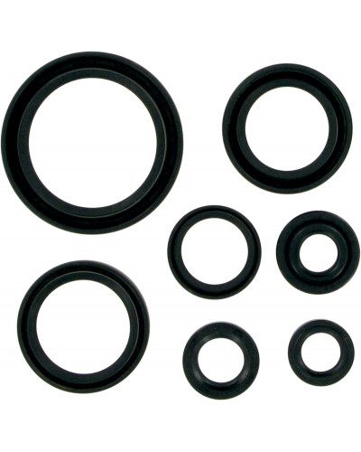 Moteur divers MOOSE OFFROAD HARD-PARTS MSE MTR SEALS RM250 96-02