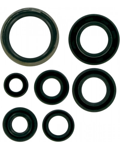 Moteur divers MOOSE OFFROAD HARD-PARTS MSE MTR SEALS RM85 02