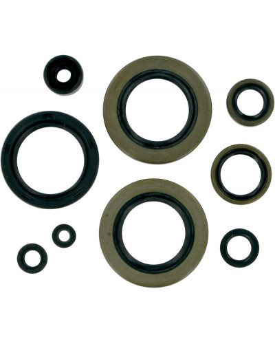 Moteur divers MOOSE OFFROAD HARD-PARTS OIL-SEALSKX500 89-04