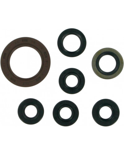 Moteur divers MOOSE OFFROAD HARD-PARTS SEAL-KITOIL DVX/LTZ/KFX