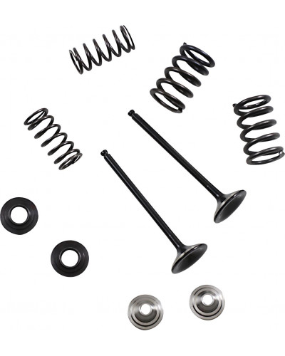 Moteur divers MOOSE OFFROAD HARD-PARTS VALVE KIT EX MSE YZ 250F