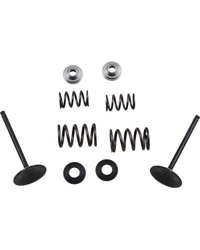 Moteur divers MOOSE OFFROAD HARD-PARTS VALVE KIT IN MSE LTR450