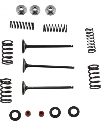 Moteur divers MOOSE OFFROAD HARD-PARTS VALVE KIT IN MSE YZ250F