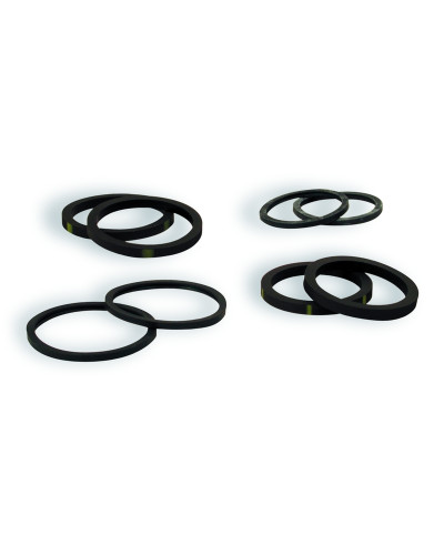 Accessoires Freinage Moto NISSIN Kit joints d'étrier de frein avant pour étrier argent N2PL/PR Nissin