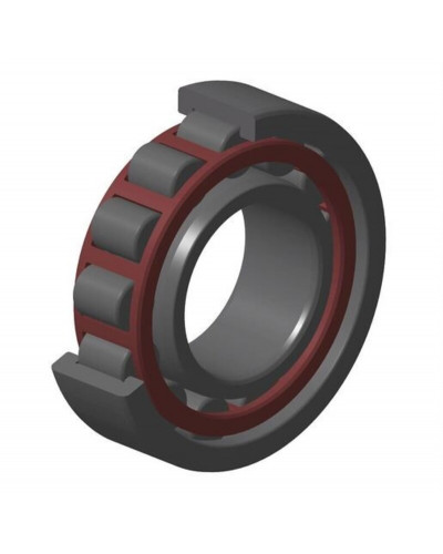 Roulement Vilbrequin Moto NTN ROULEMENTS A ROULEAUX NTN 30X62X16