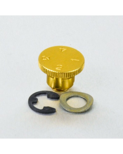 Molette Réglage Levier Moto PRO BOLT Molette de réglage de levier Pro-Bolt alu or