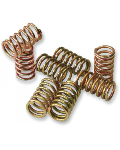 Ressort Embrayage Moto PROX CLTCH SPRING KIT YZ80/85 95-12