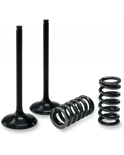 Moteur divers PROX EXHAUST VALVE/SPRING KIT Moteur divers PROX EXHAUST VALVE/SPRING KIT