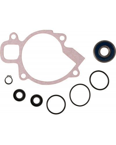 Joints divers PROX REPAIR KT WTRPUMP 250EXC Joints divers PROX REPAIR KT WTRPUMP 250EXC