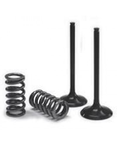Moteur divers PROX VALVE EX/SPRING KIT EXC-F Moteur divers PROX VALVE EX/SPRING KIT EXC-F
