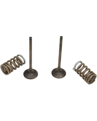 Moteur divers PROX VALVE EX/SPRING KIT RM-Z250