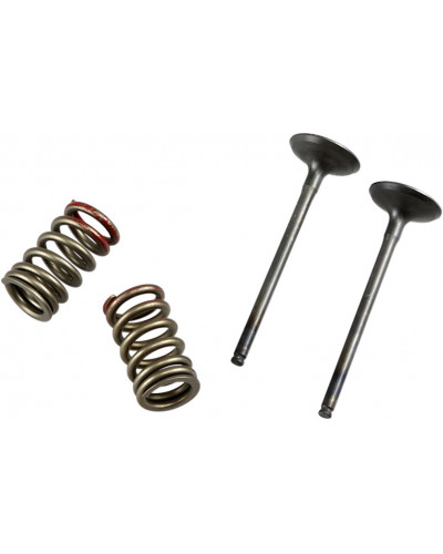 Moteur divers PROX VALVE EX/SPRING KX250F+RMZ250