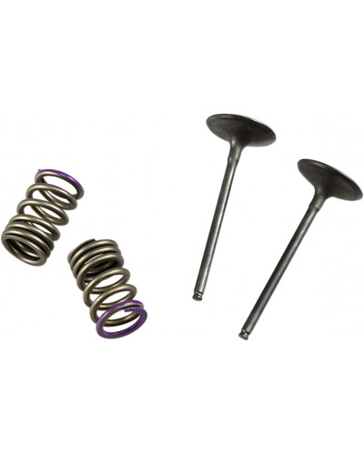 Moteur divers PROX VALVE IN/SPRING KIT KX250F