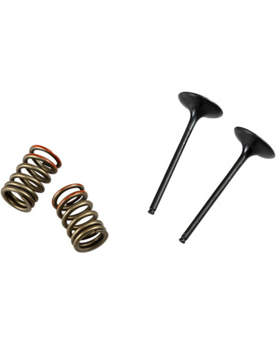 Moteur divers PROX VALVE IN/SPRING KIT KX250F Moteur divers PROX VALVE IN/SPRING KIT KX250F