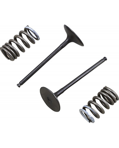 Moteur divers PROX VALVE IN/SPRING KIT RM-Z250 Moteur divers PROX VALVE IN/SPRING KIT RM-Z250