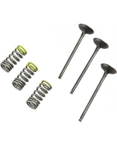 Moteur divers PROX VALVE IN/SPRING KIT YZ/WR250F Moteur divers PROX VALVE IN/SPRING KIT YZ/WR250F