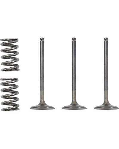 Moteur divers PROX VALVE IN/SPRING KIT YZ/WR450F Moteur divers PROX VALVE IN/SPRING KIT YZ/WR450F