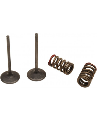 Moteur divers PROX VALVE IN/SPRING KX250F+RMZ250 Moteur divers PROX VALVE IN/SPRING KX250F+RMZ250