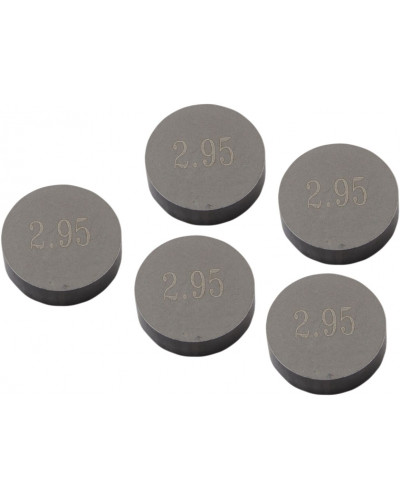 Moteur divers PROX VALVESHIM 10.00X2.95 5PK