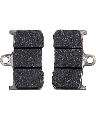 Plaquettes Freins SBS BRAKE PAD CARBON RACE