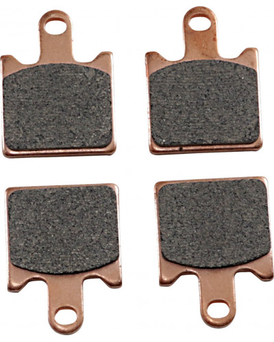 Plaquettes Freins SBS BRAKE PAD SINT FR