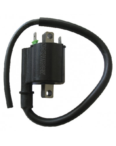 BOBINE SGR Bobine Adapt. Honda 110 NHX Lead 4T