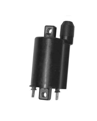 BOBINE SGR Bobine HT C/Pipetta Kymco Gran Dink 250 BOBINE SGR Bobine HT C/Pipetta Kymco Gran Dink 250