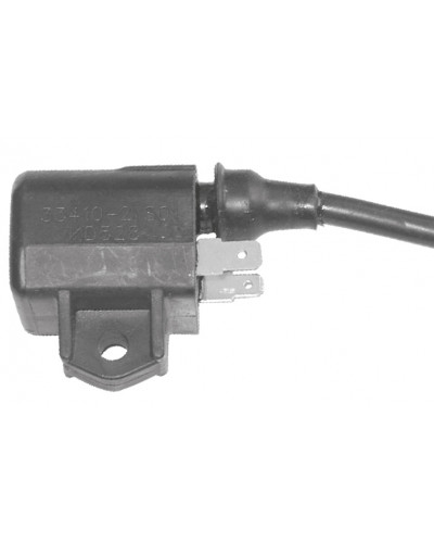 BOBINE SGR Bobine Suzuki 125/150 AN/UE/EPICURO BOBINE SGR Bobine Suzuki 125/150 AN/UE/EPICURO