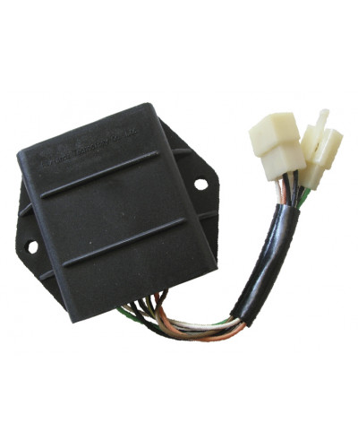 Boitier CDI Moto SGR Centrale Adapt. SUZUKI GS 500 89/01
